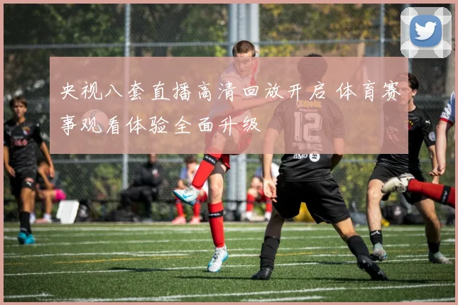 央视八套直播高清回放开启 体育赛事观看体验全面升级