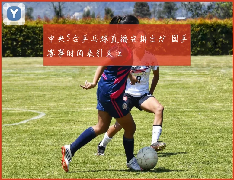 中央5台乒乓球直播安排出炉 国乒赛事时间表引关注